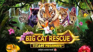 Big Cat Rescue Megaways DNT