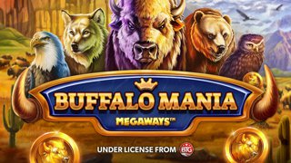 Buffalo Mania Megaways DNT