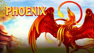 Phoenix DNT