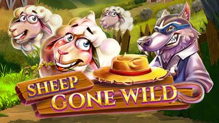 Sheep Gone Wild DNT